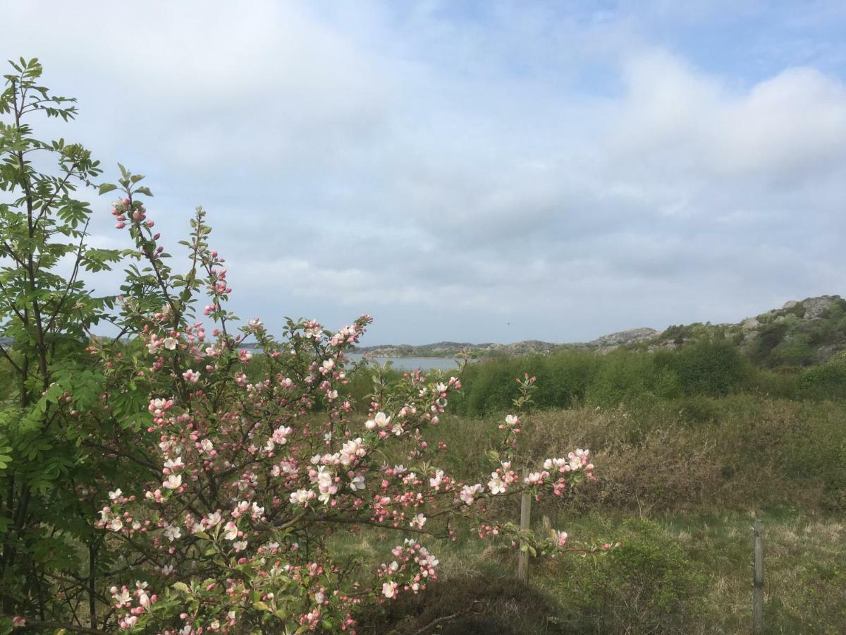 Stuga I Naturskoent Omrade Pa Vaestra Tjoern Saby Bagian luar foto