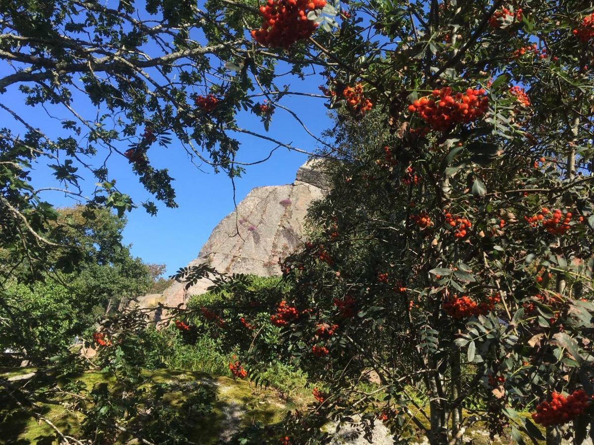 Stuga I Naturskoent Omrade Pa Vaestra Tjoern Saby Bagian luar foto